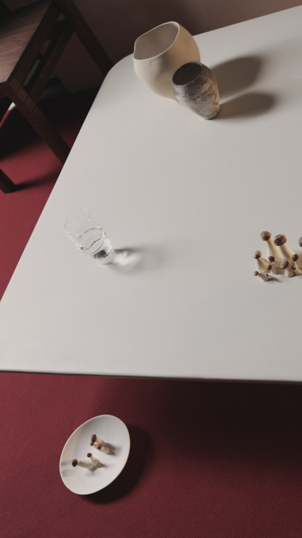 ش