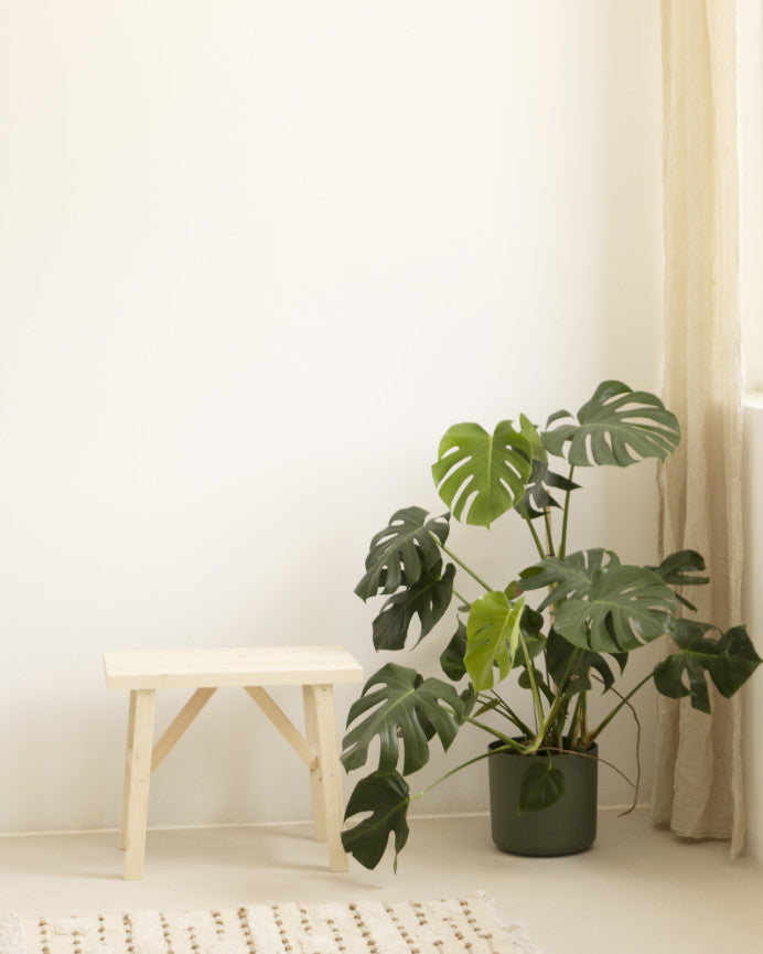 Siep_Side_Natural_Natural_04