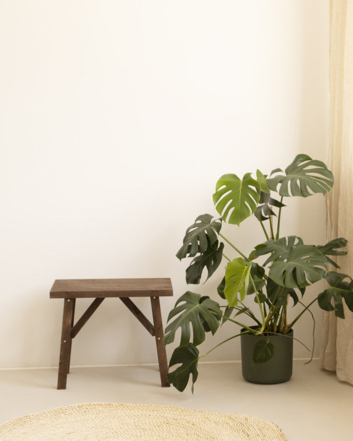 Siep_Side_Walnut_Walnut_04